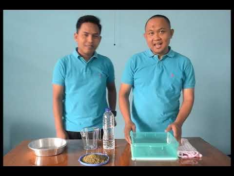 Video PjBL Kelas 3 SD Labschool UPI Cibiru (Berbasis Lingkungan) - YouTube