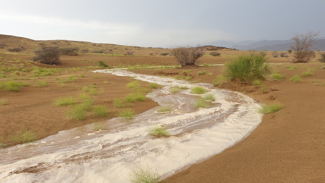 امطار وسيول #بني _عيسى 17 مايو 2019