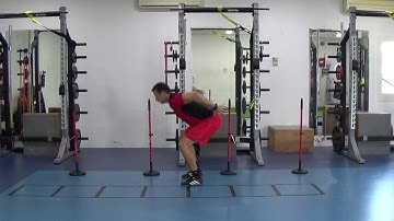Non-Counter Movement Hurdle Jump & Stick