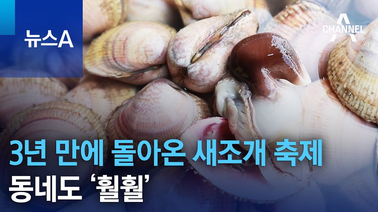 3년 만에 돌아온 새조개 축제…동네도 ‘훨훨’ | 뉴스A - YouTube