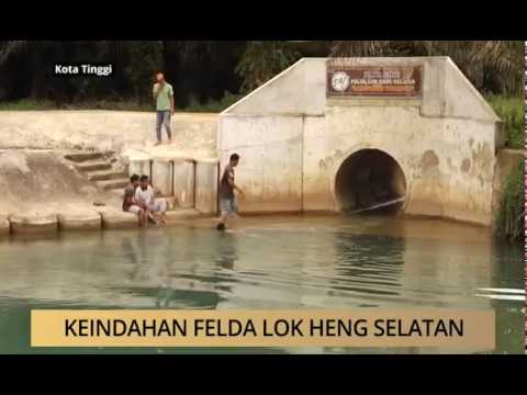 Awani Johor Keindahan Felda Lok Heng Selatan Youtube