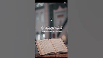 {إن الإنسان خلق هلوعا...}😌|| تلاوة هادئة من الشيخ ياسر الدوسري 🤍 #قرآن