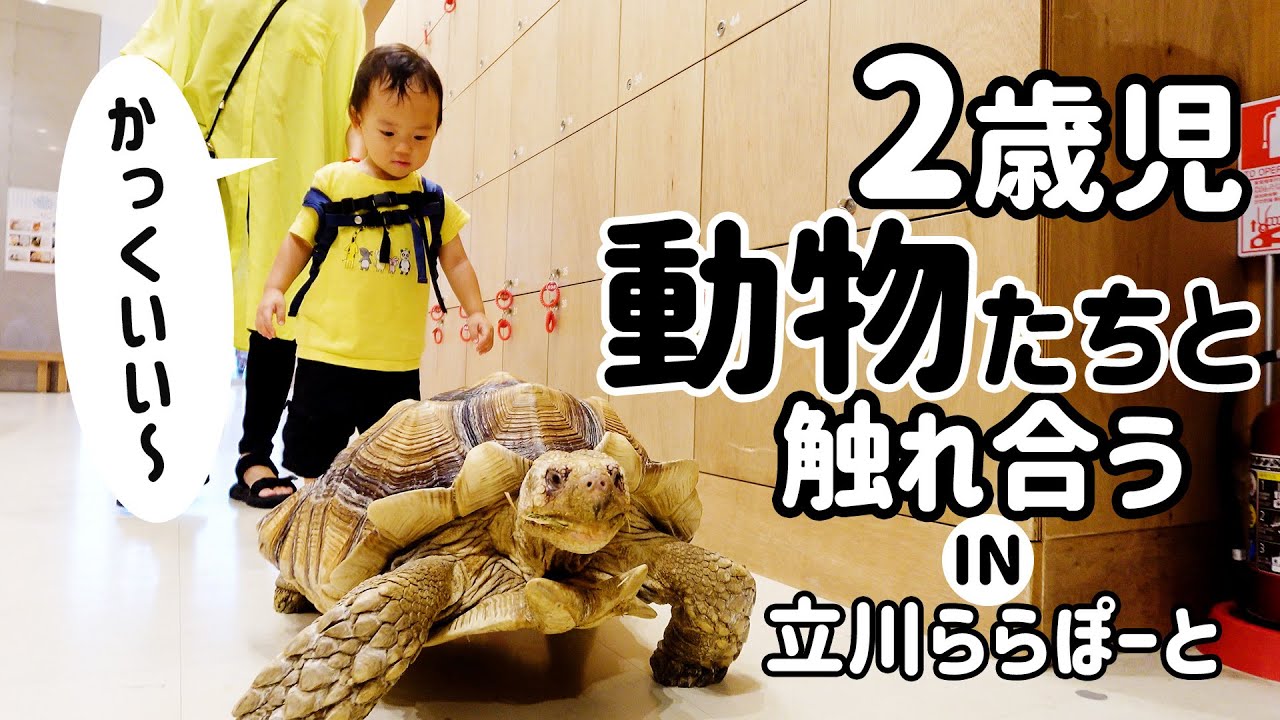 【遊び】動物とたくさん触れ合える、立川ららぽーとで遊んできた [day754]