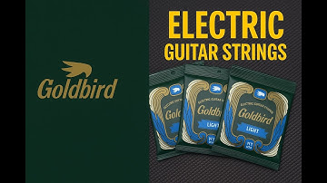 Goldbird Strings Review | Honest First Impressions from a Studio Player