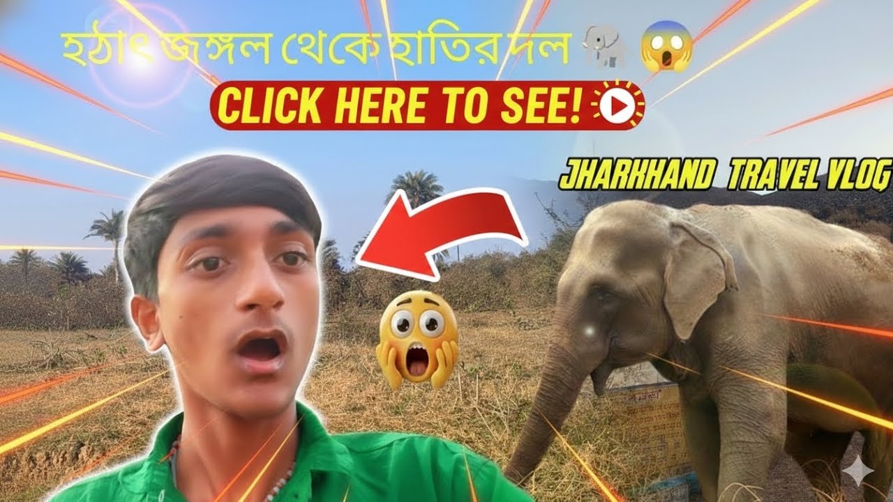 ঝাড়খন্ডের পথে হঠাৎ হাতি! 😱 | অপরূপ প্রাকৃতিক সৌন্দর্য#viral #vlog #jharkhand 
