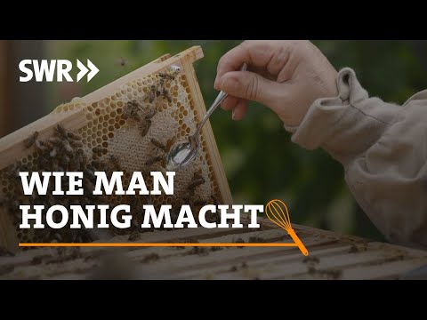 Video: Wie Man Honig In Backwaren Verwendet