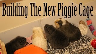 Building The New Piggie Cage