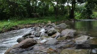 Calming Rushing River Sounds for Relaxation and Stress Relief by Ridge Runner Productions No views 1 year ago 3 hours, 22 minutes
