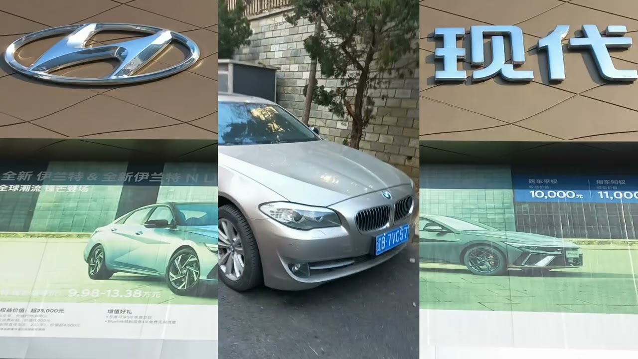 What cars do Chinese people prefer to drive?