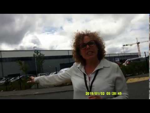 Angry Bird at DPD Depot Bristol Speed Audit