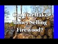 Can You Make Money Selling Firewood?