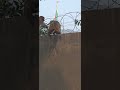 Money inside barbed wire fence #monkey #funnymonkey