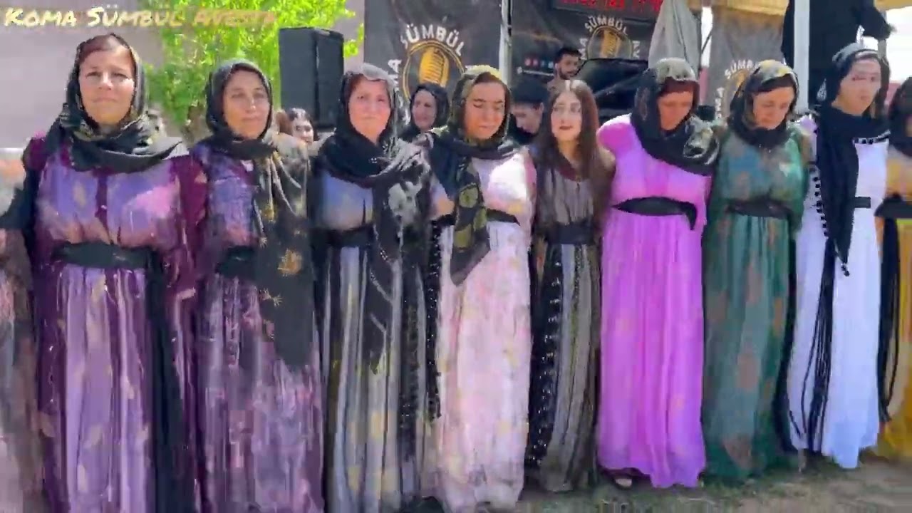 Koma Sümbül Awesta Cizre Batuhan Aşireti Mühteşem Xerzani Halayı [ 2024 HD ]
