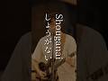 Sora Satoh - Shouganai | Busking in Tokyo