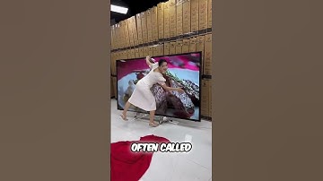 Unbreakable Tv or Not #shorts