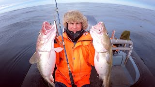 ЗАВАЛИЛИ ЛОДКУ РЫБОЙ в Баренцевом море / FILLED UP THE BOAT WITH FISH in the Barents Sea