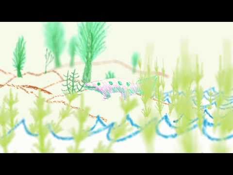 Evolution! animation with Patrick Henry School of Science and Art