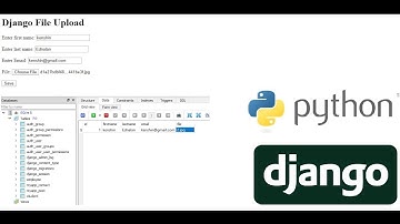 Django File Upload and save data to database sqlite3
