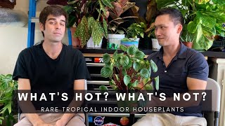 Popular Tropical Indoor Plants | Houseplant Tour | Easy Care Plants | Jumanji P2 | Ep 79 screenshot 5