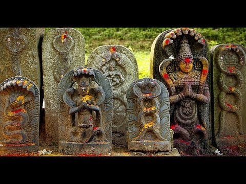 Video: Qual è Il Culto Del Serpente In India - Visualizzazione Alternativa