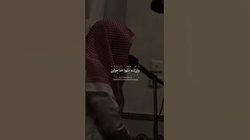 من سورة المائدة | القارئ/عبدالله القرني 🎧😇