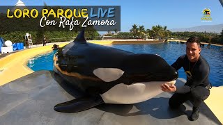 Orca Ocean - S01E08 - Loro Parque LIFE