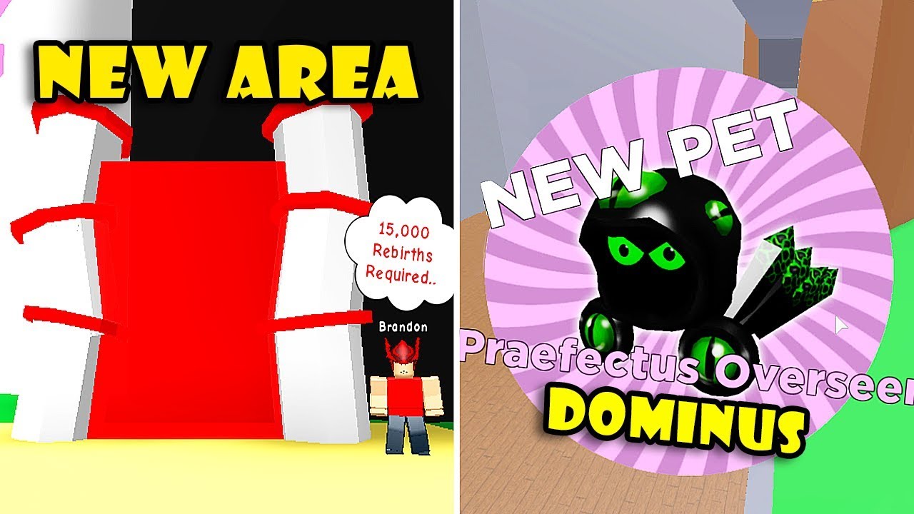 Unlocked New 15000 Rebirth Area Got Best Magnet Overseer Dominus Pet In Magnet Simulator Roblox Youtube - dominus overseer roblox