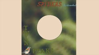 Miniatura de vídeo de "Twin Peaks - Spiders (Kidsmoke) -  Wilco Cover"