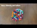 Race, Ethnicity, and Culture Explained Through Jelly Beans
