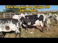 Feira do gado  de Buíque PE parte dois   20/12/2020