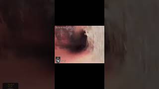 🎥 I am Root... cause of your sewer problems! ROOTS + BELLIES = BIG TROUBLE!