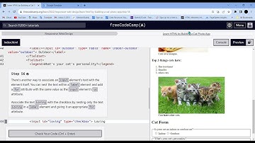 Learn HTML by Building a Cat Photo App  Step - 56 || freeCodeCamp