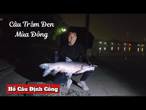 Câu Cá Trắm Đen Mùa Đông ở Hồ Câu Định Công - Hà Nội