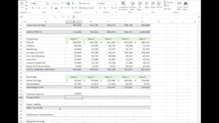 Adding Taxes and Interest Expenses to an Income Statement in Excel