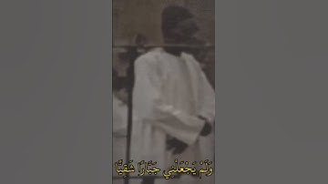 تلاوة عطرة #القرآن_الكريم #تلاوة_خاشعة #ارحقلبك #راحة_نفسية #صلوا_على_النبي