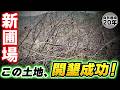 【自然栽培427】新圃場！開墾成功！里芋とショウガ植え付け