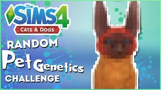 Cats From OuterSpace!!  Random Pet Genetics Challenge!!  Experiment #39