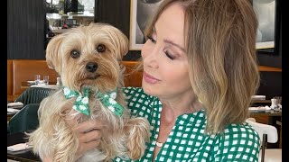 Hollywood Hotspot Hosts Bark and Brunch | California Live | NBCLA