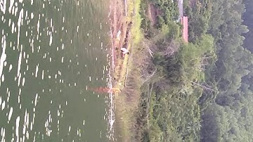 Cấm Sơn lục ngạn Bắc Giang nha cả nhà