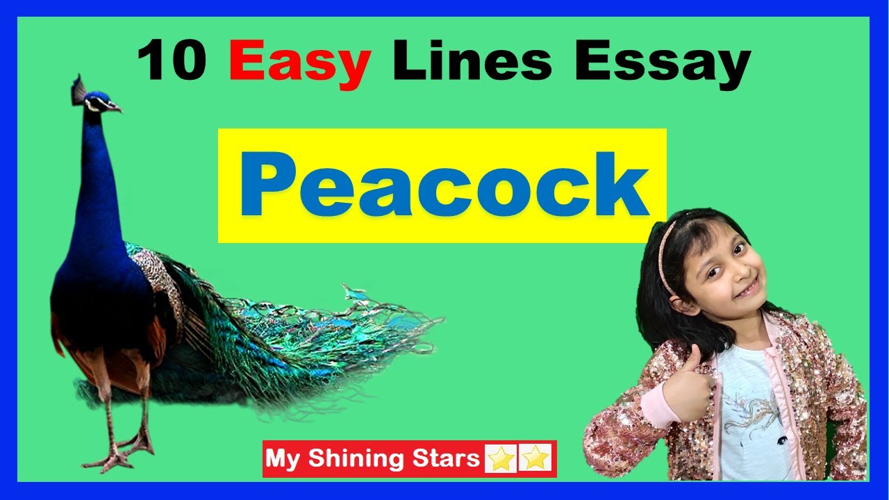 essay writing on peacock paragraph