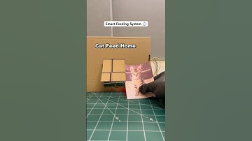 Automatic Cat Feeder using Arduino UNO! 🐱⚙️Perfect feeding… every time! 🍽️ #cathouse #roboarmy