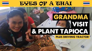 🌱 PLANTING TAPIOCA & Visiting Grandma ❤️❤️
In the morning today me and my family we are going to visit grandma,weaver flower for do pray Buddha statue. And also in the afternoon we are going to planting new tapioca.
Hi Everyone, Im Nid, a happy Thai lady from Mukdahan in Isan (Esan, Isaan, Esaan), showing you the simple rural thai village life with my family, making videos of real Thailand life. Please follow me!
If you would like to help my channel and would like to make a small donation to my PayPal https://www.paypal.me/SirintraPhosai
or my Patreon https://www.patreon.com/Eyes_of_a_Thai
You can also email me at: eyesofathai@gmail.com
Thank you for all your support guys you are so awesome. Dont forget to SUBSCRIBE and hit the BELL to get notifications of my new videos to be the first to see them, ka.
New videos out every week and please join me on my LIVE STREAMS every Saturday at 20.00 Pm. Thailand time. See you there! 🌱 PLANTING TAPIOCA & Visiting Grandma ❤️❤️