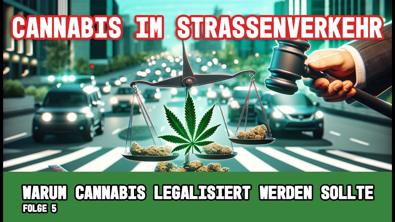 Cannabis im Strassenverkehr - Warum sollte man Cannabis legalisieren - Teil 5