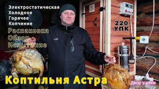 Коптильня Астра 220 УПК Электростатическая / Обзор /Холодное Горячее Копчение/Лещ холодного копчения