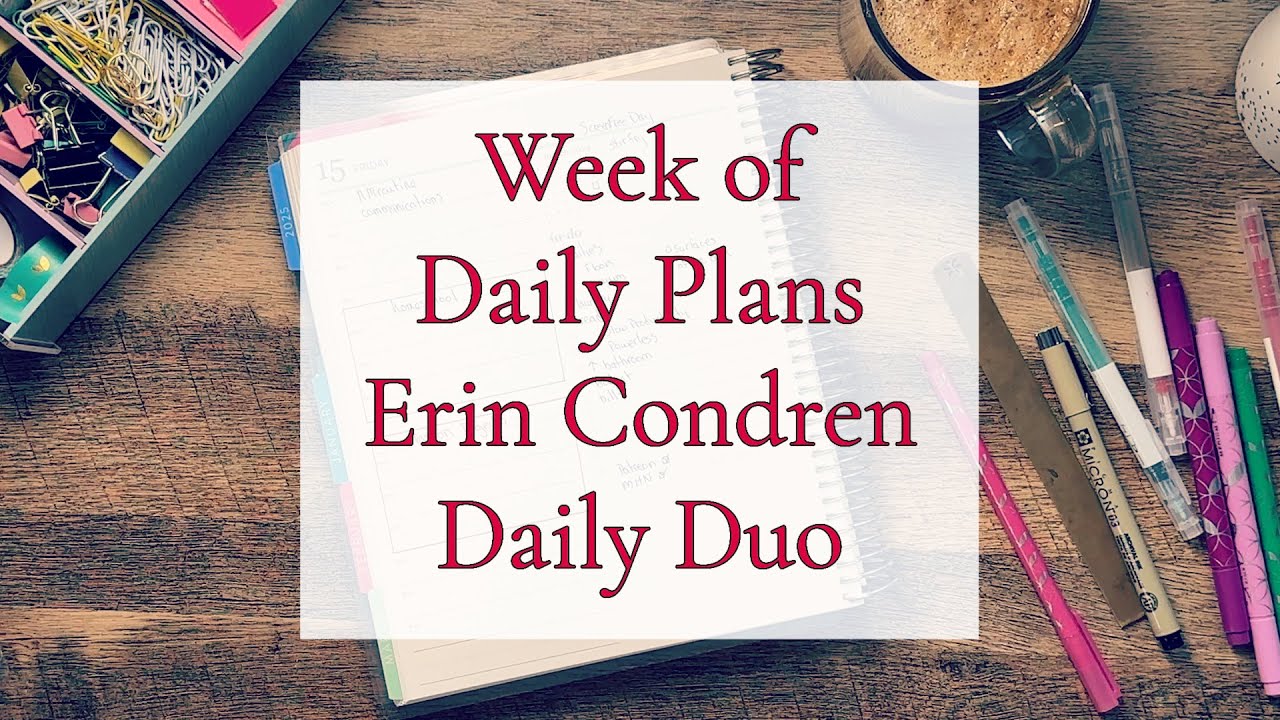 WEEK OF DAILY PLANS || ERIN CONDREN DAILY DUO || BUSY HOMESCHOOL WEEK ...