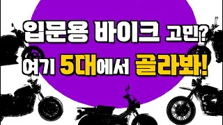 입문자를 위한 125cc 추천 바이크 Top5. 영광의 1위는?