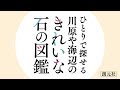 ブックトレイラー『ひとりで探せる 川原や海辺のきれいな石の図鑑』１・２