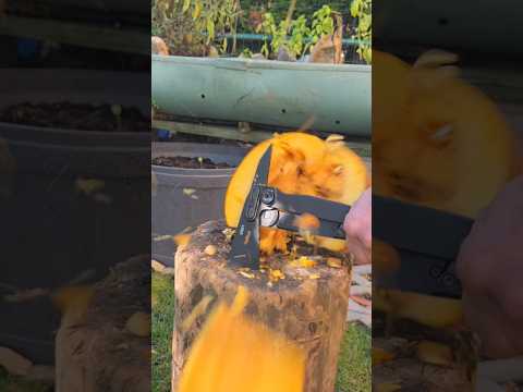 @crkt @GiantMouseKnives