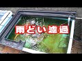 【錦鯉】雨どい濾過の作り方【アクアリウム】