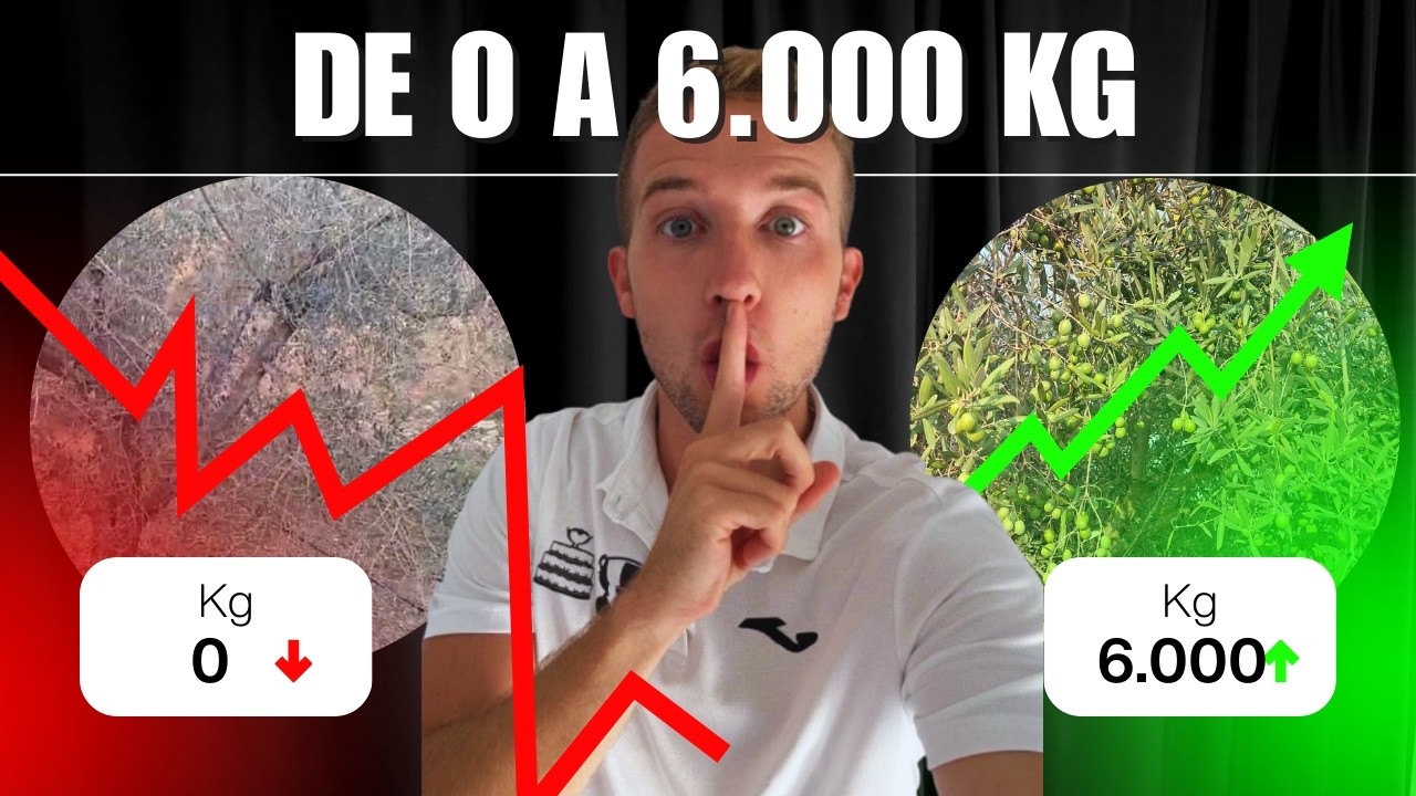 Transformo un OLIVAR  De 0 kilos hasta llenarlo de ACEITUNA (Caso Real Valencia)